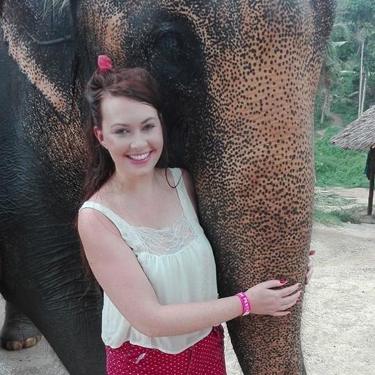 elephant-thailand